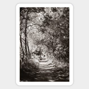 Small Path Sticker